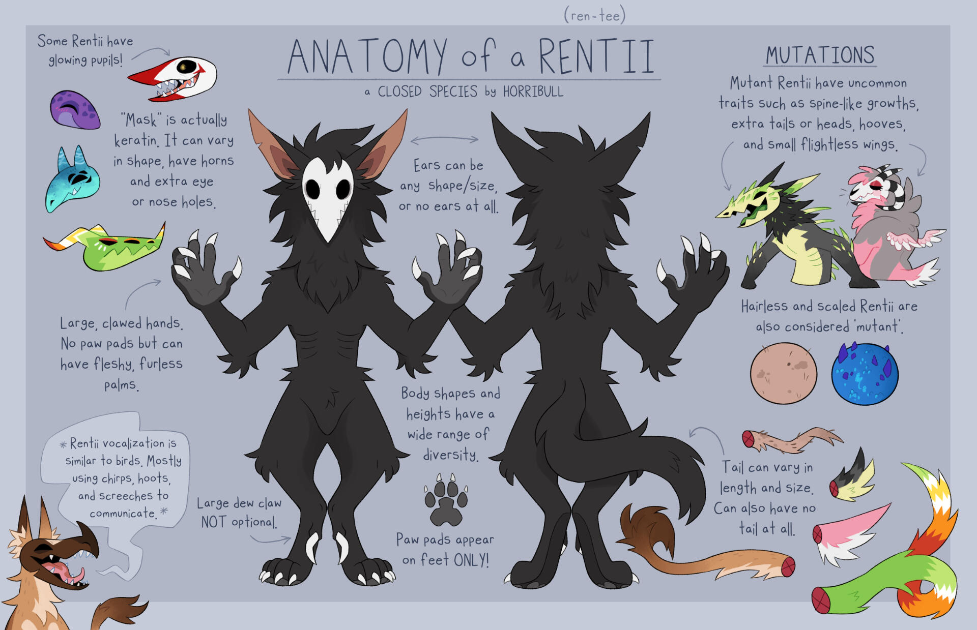 Anatomy of a Rentii Anatomy of a Rentii